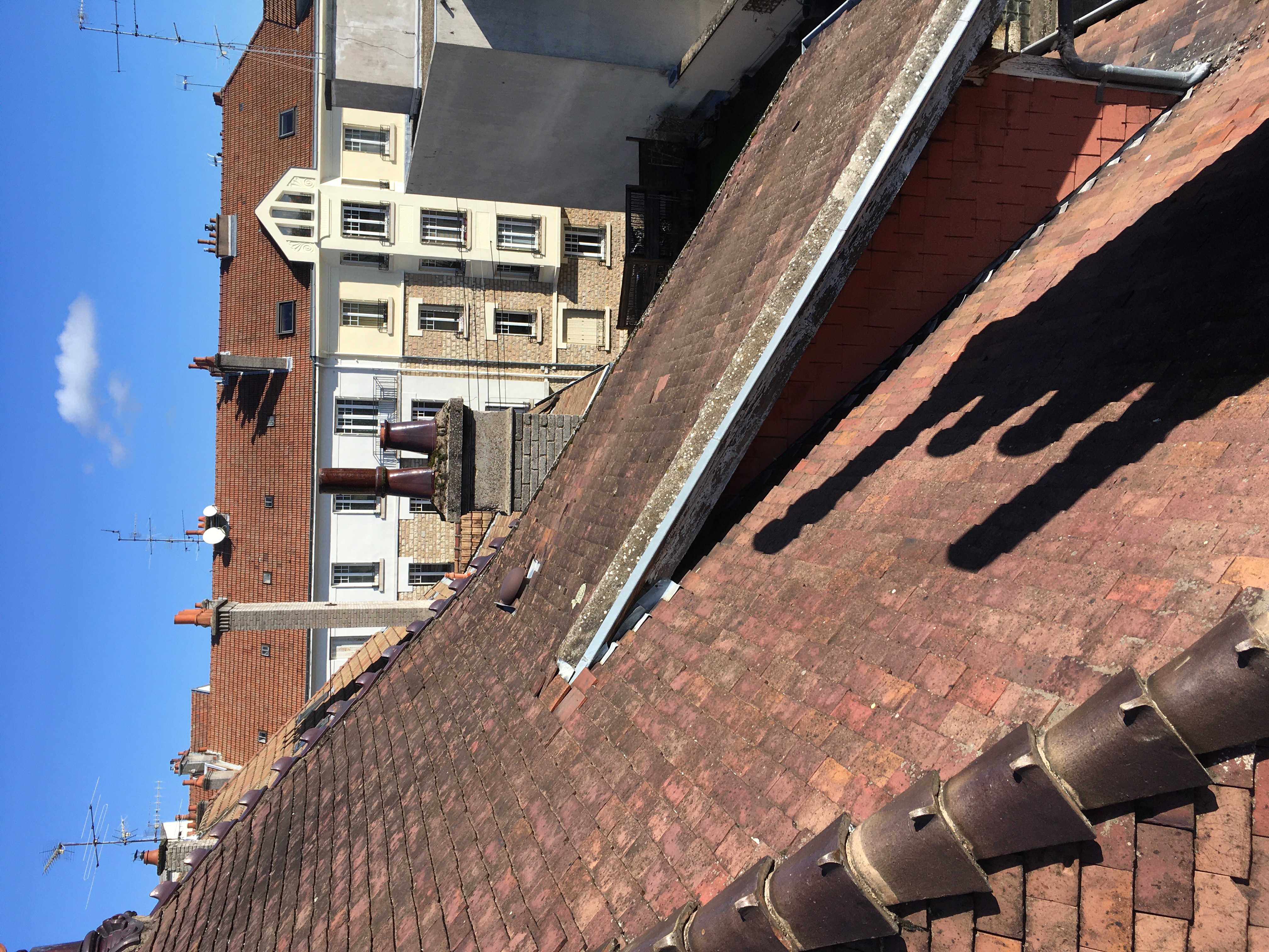 Avant - Réfection complète de toiture — 8 rue Bernard Courtois, Dijon