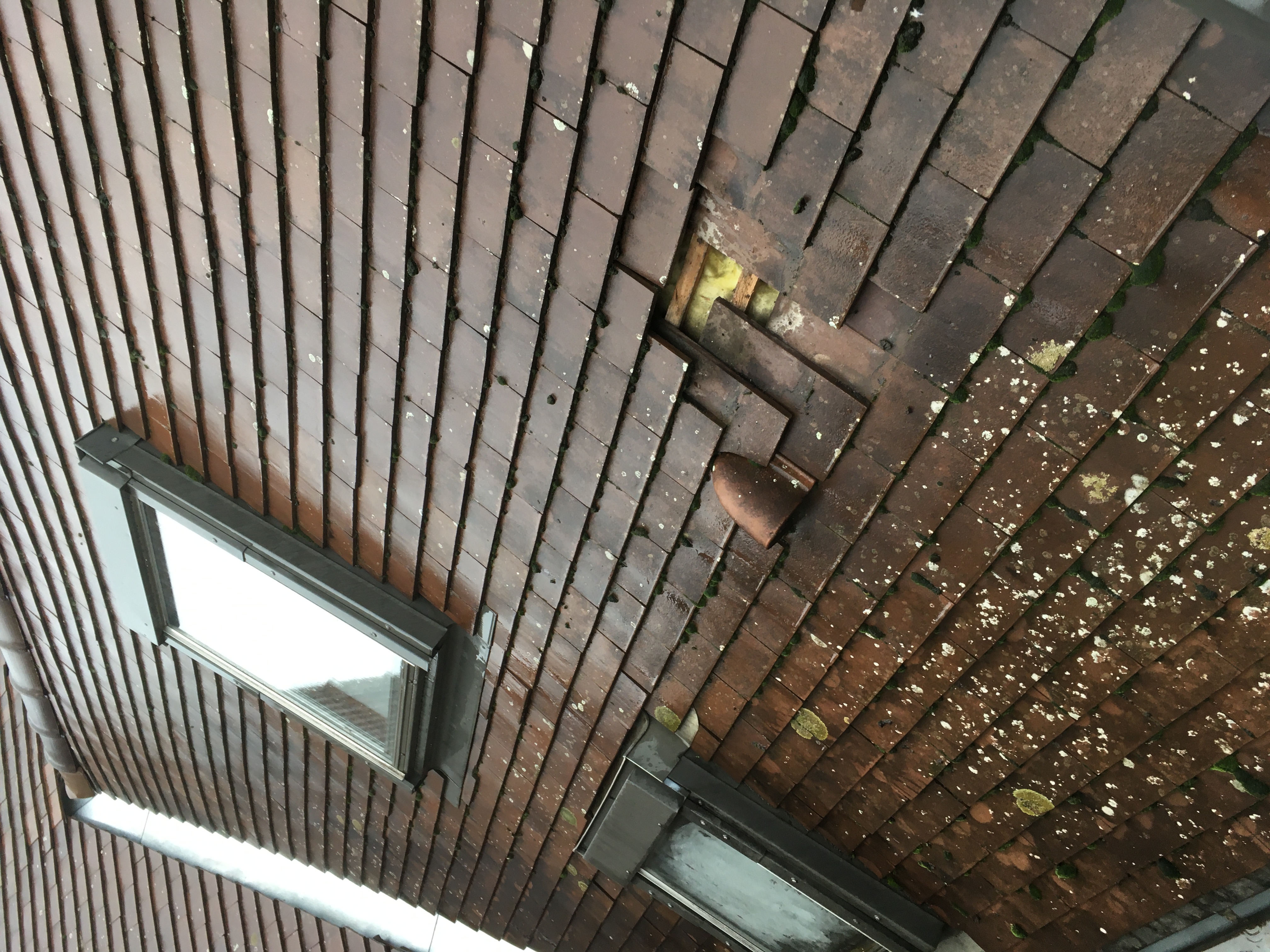 Avant - Réfection complète de toiture — 22 rue de la Préfecture, Dijon